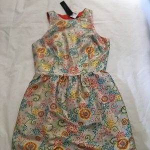 SOLD Anthropologie Cynthia Steffe Dress, NWT, sz 2